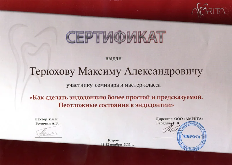 Сертификат — Терюхов Максим Александрович